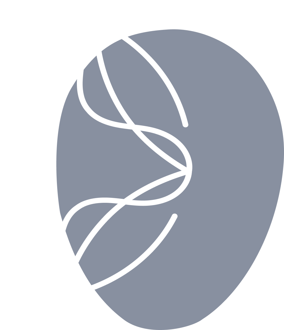 egg-2