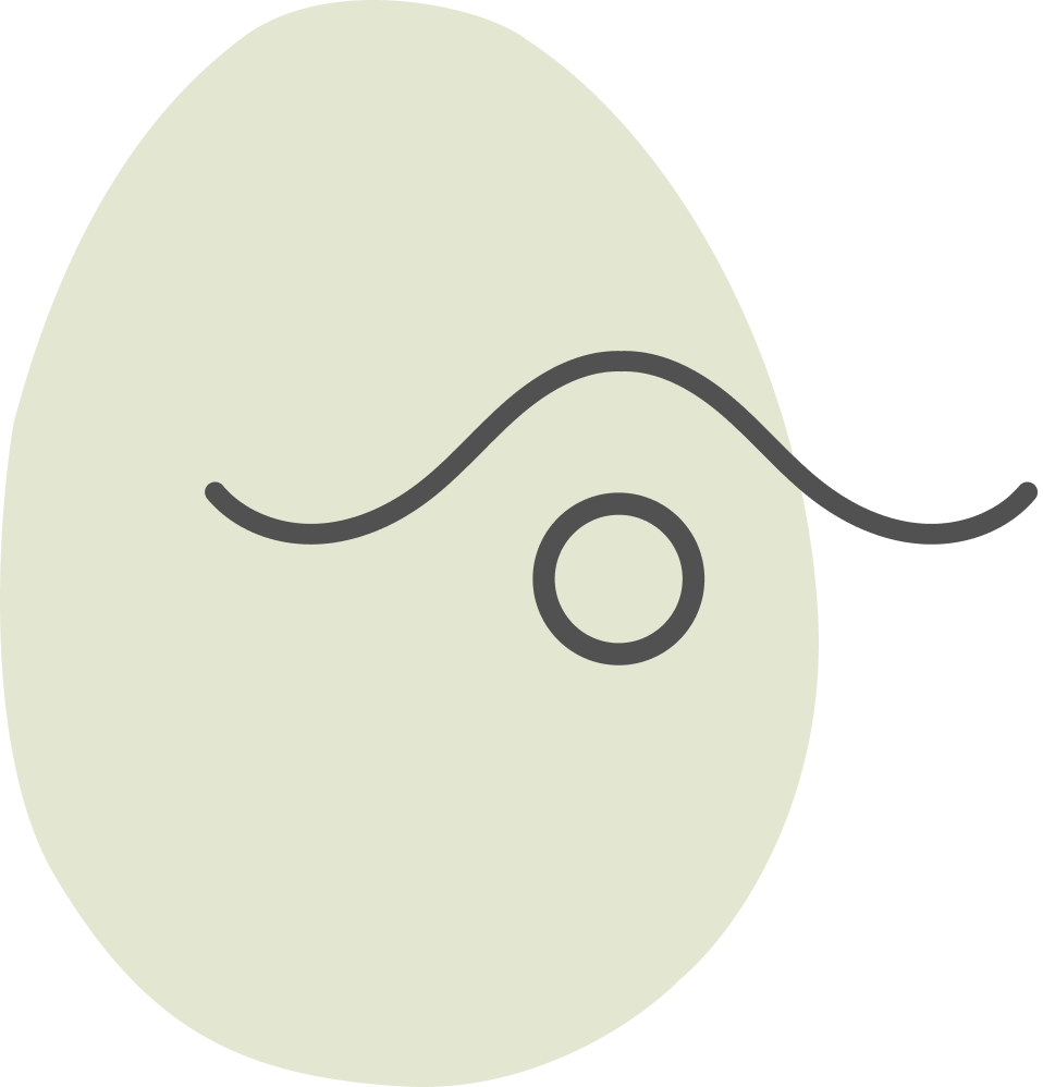 egg-3